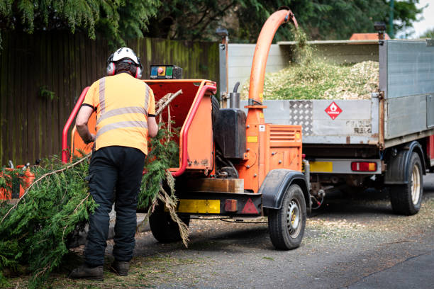 Best Tree Risk Assessment  in Putnam Lake, NY